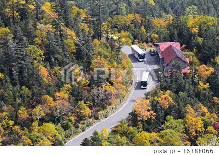 位ヶ原山荘と乗鞍エコーラインを登る高原バス 36388066