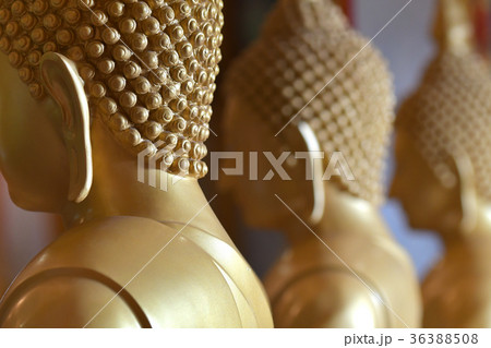 Ears of the Buddha in the temple 36388508