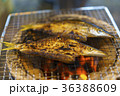 焼き魚 かます 焼き魚 かます 36388609