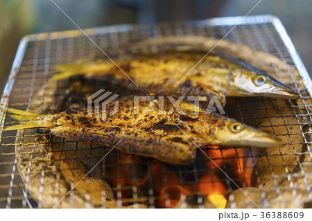 焼き魚　かます 36388609