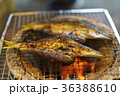 焼き魚 かます 焼き魚 かます 36388610