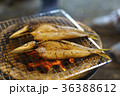 焼き魚 かます 焼き魚 かます 36388612
