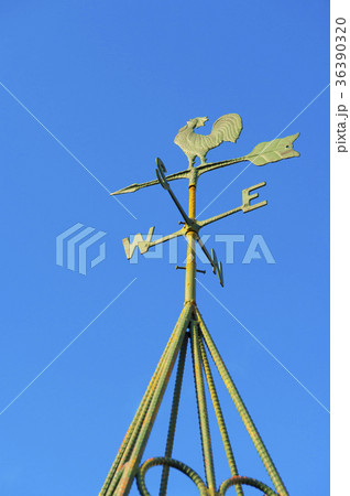 風見鶏 36390320