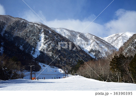 スキー場 36390395
