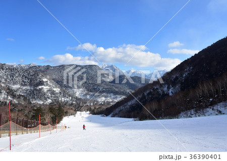 スキー場 36390401