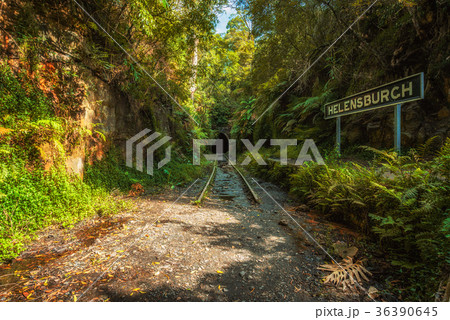 Abandoned Helensburgh Railway Station and tunnel Abandoned Helensburgh Railway Station and tunnel 36390645