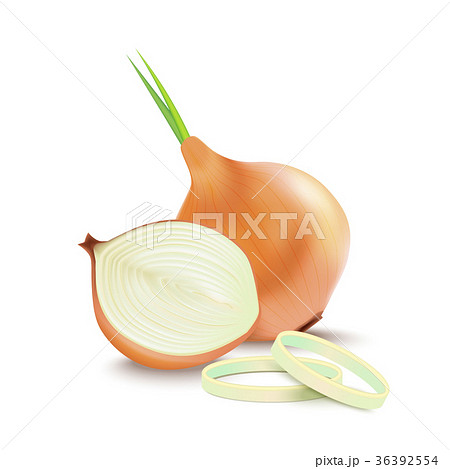 Realistic Detailed 3d Whole Onion and Slice 36392554