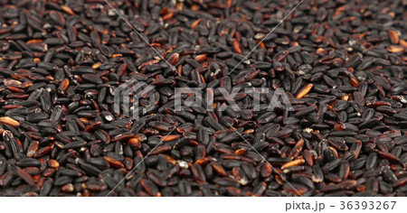 Black purple raw rice close up background Black purple raw rice close up background 36393267