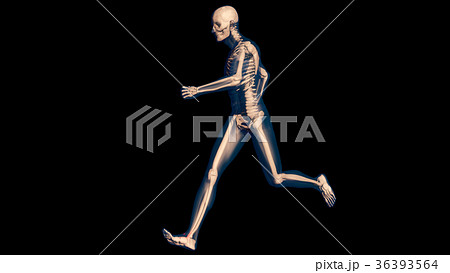 Ankle Pain in Human Body Transparent Design Ankle Pain in Human Body Transparent Design 36393564