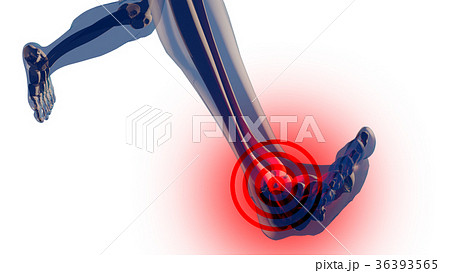 Ankle Pain in Human Body Transparent Design 36393565