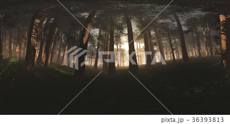 Deep Forest VR360 3D Illustration Deep Forest VR360 3D Illustration 36393813