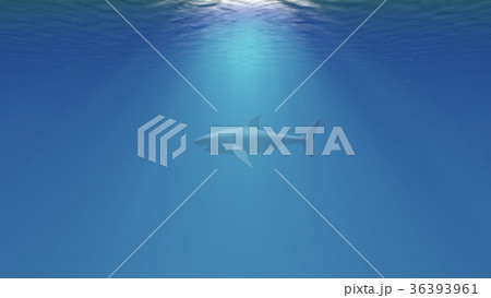 The Great White Shark in the Ocean Side View 36393961