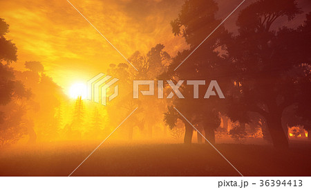 Lush Prehistoric Forest in the Sunset Sunrise 36394413