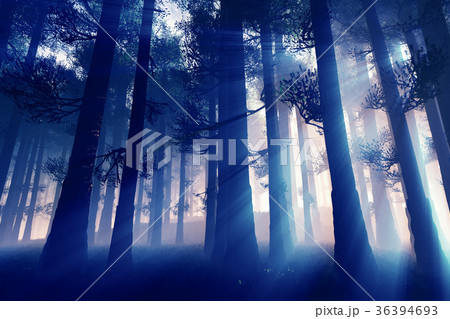 Mysterious Fairy Tale Deep Magic Forest 36394693