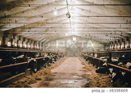 barn inside with no sharpness barn inside with no sharpness 36396809
