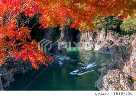 秋の瀞峡 秋の瀞峡 36397256