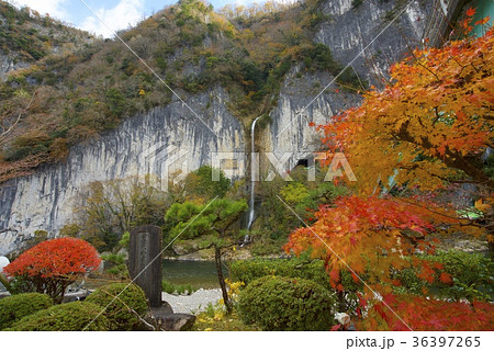 井倉峡の風景（岡山） 36397265