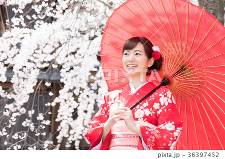 花見　着物を着た女性 36397452