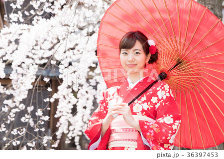 花見　着物を着た女性 36397453