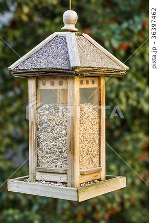 Bird house hanging 36397462