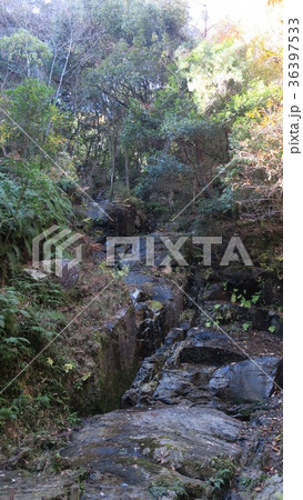 三瀧寺　三之瀧　駒ヶ瀧　近影　～広島県広島市西区～ 36397533