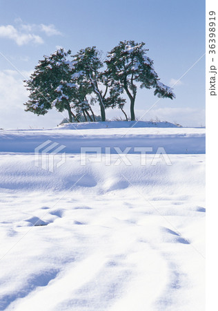 冬 季節 雪景色 36398919