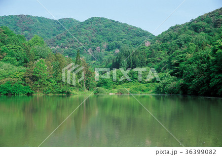 山 夏 韓国 36399082