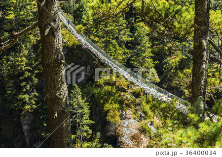 エベレスト街道と吊り橋 36400034