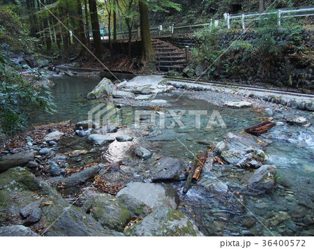 風布川・日本水 36400572