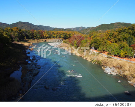 長瀞 金石水管橋 紅葉の荒川 長瀞 金石水管橋 紅葉の荒川 36400587
