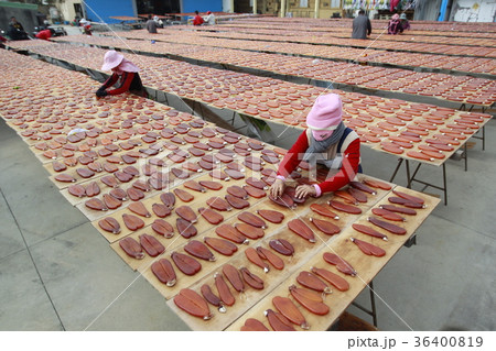 からすみ カラスミ 36400819