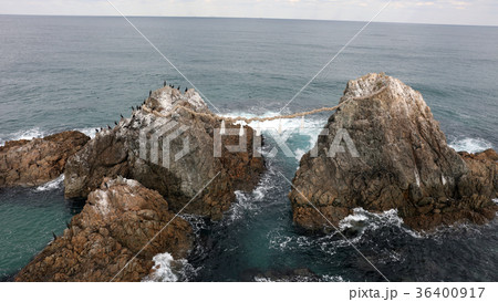 福岡県糸島市志摩桜井 冬の二見ヶ浦夫婦岩 36400917