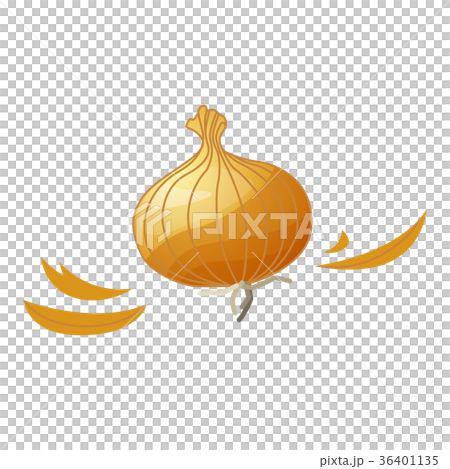 玉葱の皮 玉葱の皮 36401135