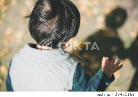 2 years old 36401163