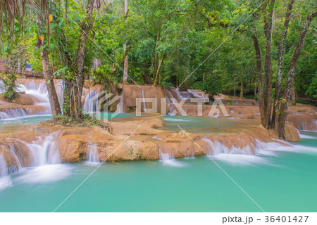 Waterfall in rain forest (Tad Sae Waterfalls) 36401427