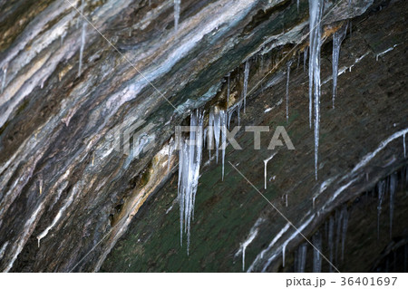 つらら 冬 トンネル 36401697