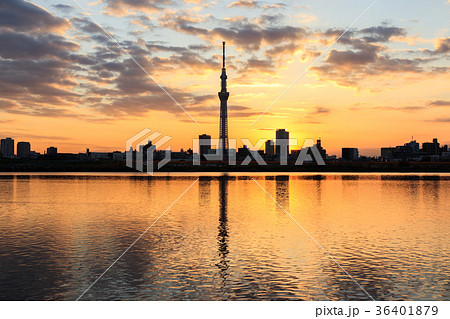 夕景に佇む東京スカイツリー　荒川河川敷から望む 36401879