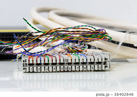 Telephone cabling patch panel with cables Telephone cabling patch panel with cables 36402646