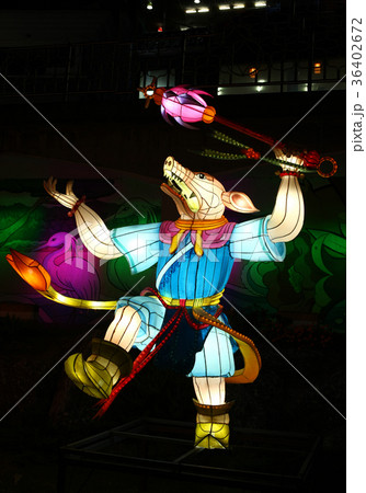 夜景 照明 祭り 36402672