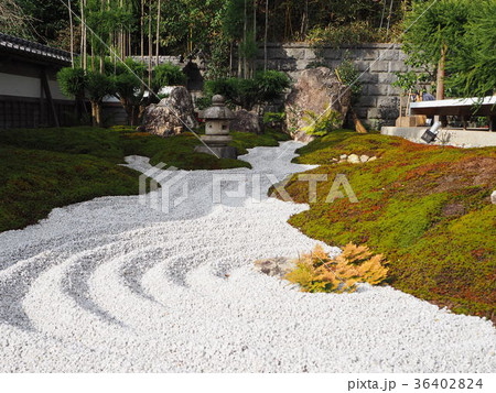 鎌倉　長谷寺　書院の庭 36402824