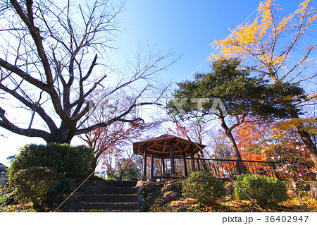 熊本・舞鶴城公園 36402947