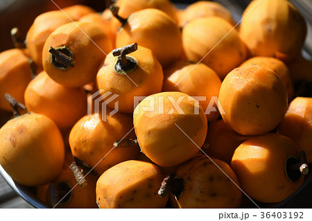 干し柿の準備 36403192