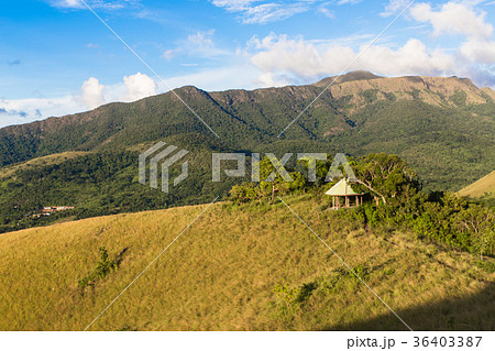 small wooden house in the green hill near Coron 36403387