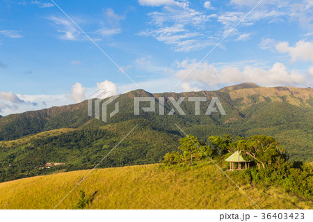 small wooden house in the green hill near Coron 36403423