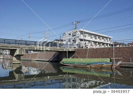 浦安市 12月 浦安市 12月 36403957