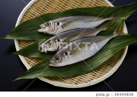 鯵 鯵 36404836