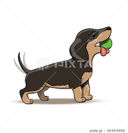 Cartoon Dachshund puppy character on a walk Cartoon Dachshund puppy character on a walk 36404906