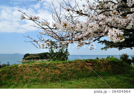 トンガの鼻から大島を望む トンガの鼻から大島を望む 36404964