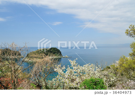 トンガの鼻から番所の庭・大島を望む 36404973