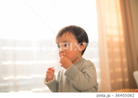 2 years old 36405062